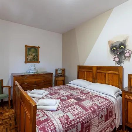 Alle Alpi Comeglians