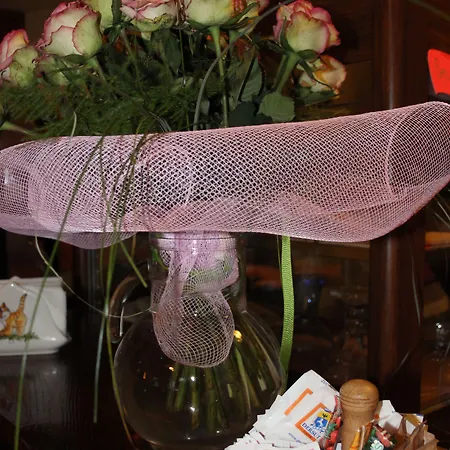 Alle Alpi Hotel Comeglians