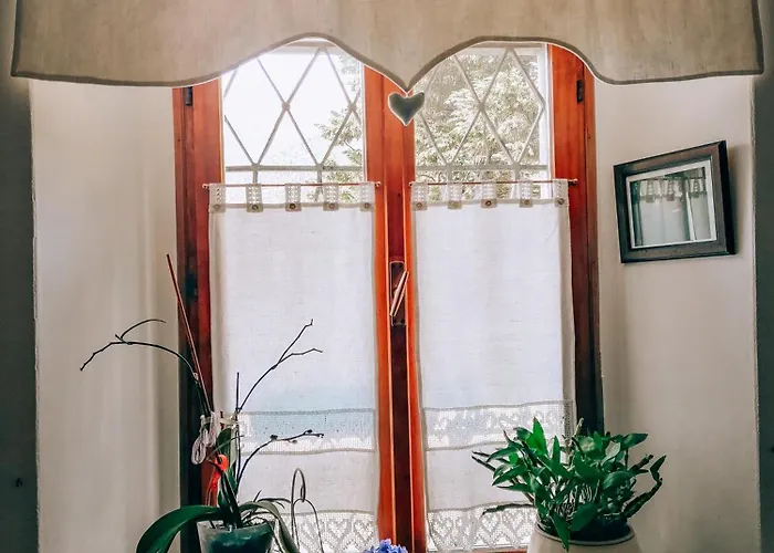 Alle Alpi Comeglians